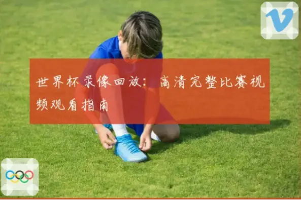 世界杯视频回放免费观看指南